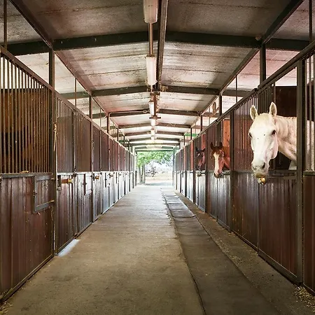 Ostello Scuderia La Colombera Binasco